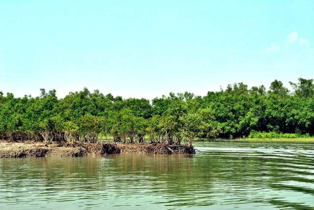 Bathe in the Beauty of River cruise, Sunderban
